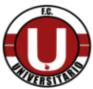 宾托大学生