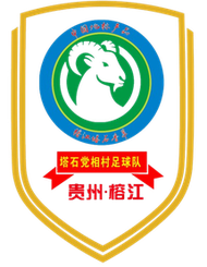 党相村足球队